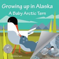 bokomslag Growing up in Alaska: A Baby Arctic Tern