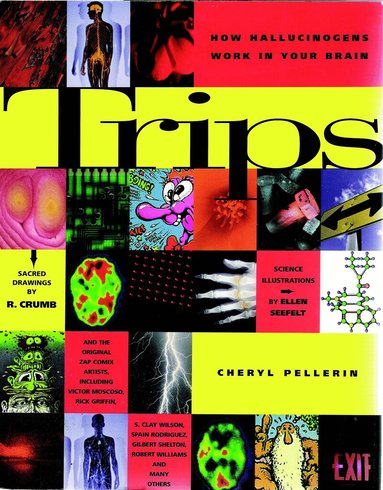 Ellen R Crumb, Robert R Crumb, Cheryl Pellerin - Trips, Häftad