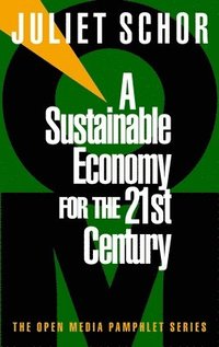 bokomslag A Sustainable Economy for the 21st Century