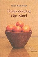 bokomslag Understanding Our Mind