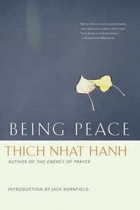 bokomslag Being Peace