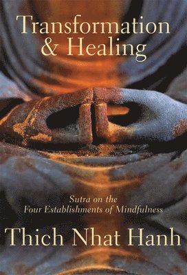 bokomslag Transformation and Healing