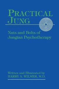 bokomslag Practical Jung