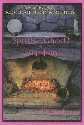 Ted Andrews - Spirits, Ghosts and Guardians, Häftad