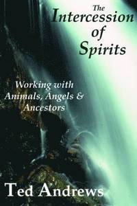 bokomslag Intercession of Spirits
