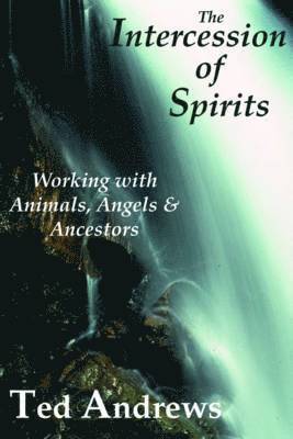 Intercession of Spirits 1