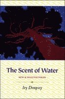 Scent of Water