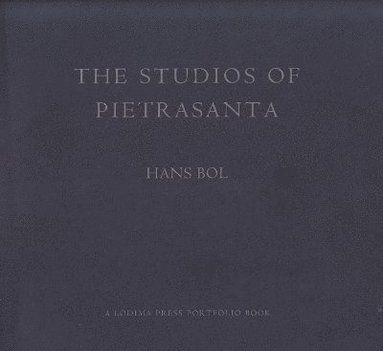 bokomslag Studios of Pietrastanta