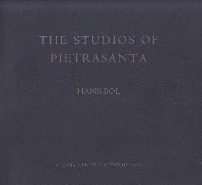 Studios of Pietrastanta 1
