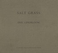 bokomslag Salt Grass