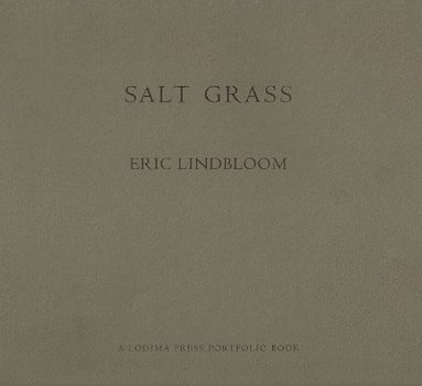 bokomslag Salt Grass