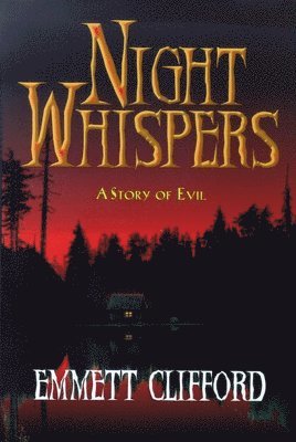 bokomslag Night Whispers