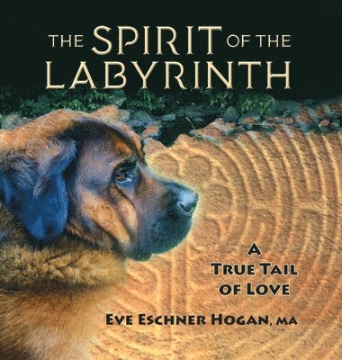 bokomslag Spirit of the Labyrinth