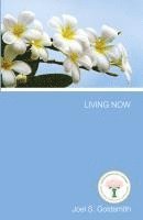 bokomslag Living Now