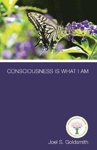 bokomslag Consciousness is What I am