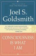 Consciousness is What I am