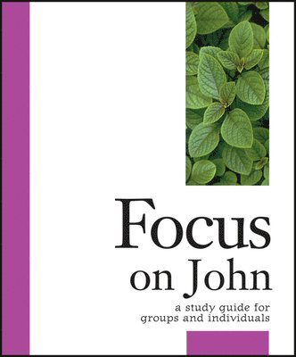 Focus on John 1