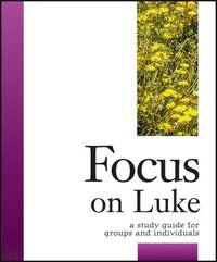 bokomslag Focus on Luke