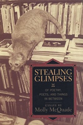 Molly McQuade - Stealing Glimpses, Inbunden