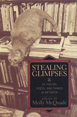Molly McQuade - Stealing Glimpses, Häftad