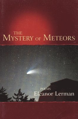 bokomslag The Mystery of Meteors