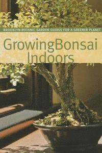 bokomslag Growing Bonsai Indoors