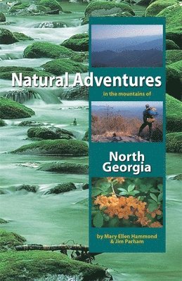 Natural Adventures in the Mountains of North Georgia