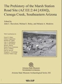 bokomslag The Prehistory of the Marsh Station Road Site (AZ EE:2:44 [ASM]), Cienega Creek, Southeastern Arizona