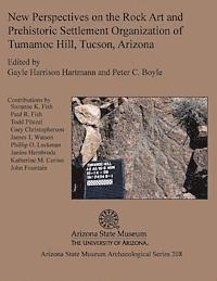 bokomslag New Perspectives on the Rock Art and Prehistoric Settlement Organization of Tumamoc Hill, Tucson, Arizona