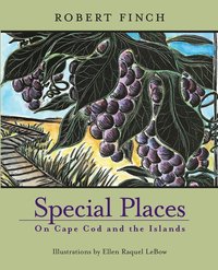 bokomslag Special Places on Cape Cod & Islands
