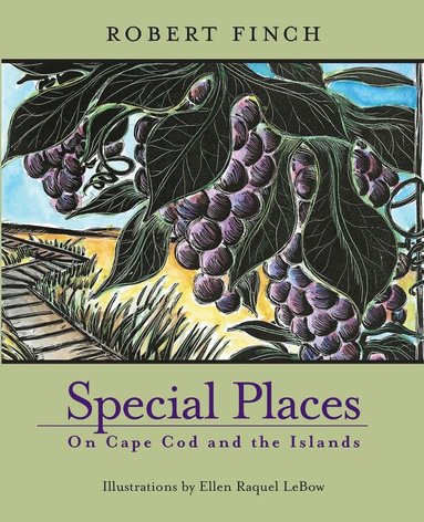 Finch Robert - Special Places on Cape Cod & Islands, Häftad