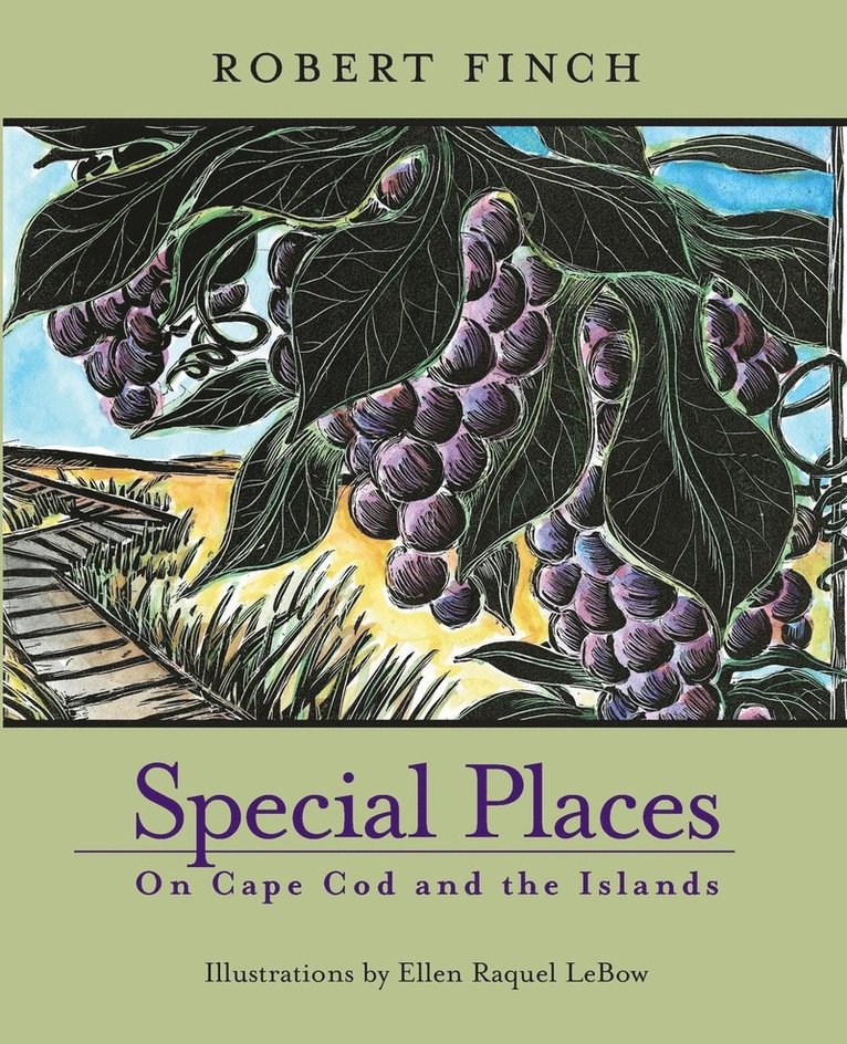 Special Places on Cape Cod and the Islands 1