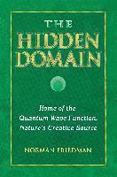bokomslag The Hidden Domain