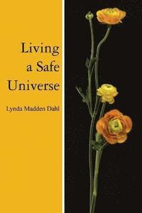 bokomslag Living a Safe Universe