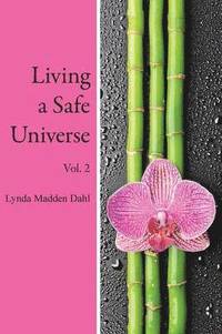 bokomslag Living a Safe Universe, Vol. 2
