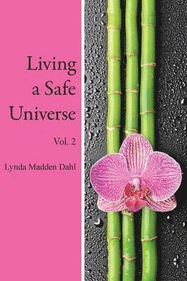 bokomslag Living a Safe Universe, Vol. 2