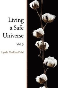 bokomslag Living a Safe Universe, Vol. 3