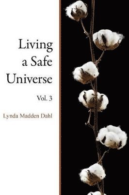 bokomslag Living a Safe Universe, Vol. 3