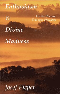 bokomslag Enthusiasm And Divine Madness