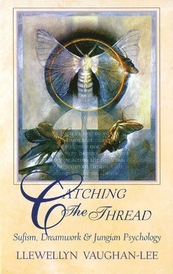 Llewellyn Vaughan-Lee, Llewellyn (Llewellyn Vaughan-Lee ) Vaughan-Lee - Catching the Thread, Häftad