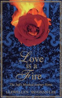 bokomslag Love is a Fire