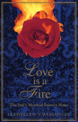 bokomslag Love is a Fire