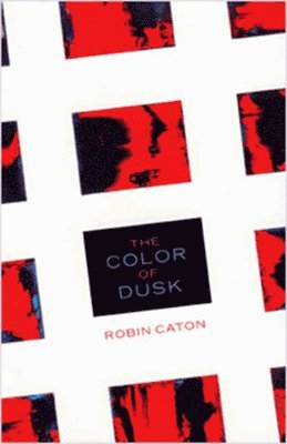 Color of Dusk 1