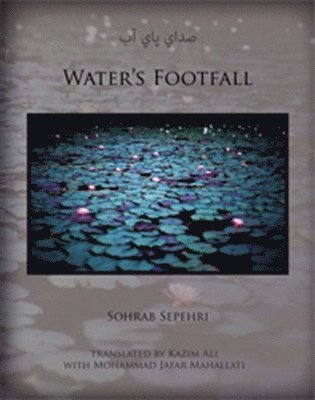 Water's Footfall 1