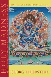 bokomslag Holy Madness: Spirituality, Crazy-Wise Teachers & Enlightenment