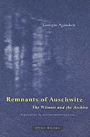 bokomslag Remnants of Auschwitz