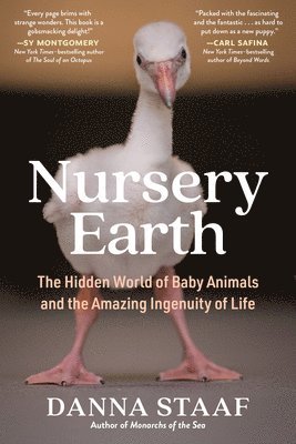 Danna Staaf - Nursery Earth, Häftad