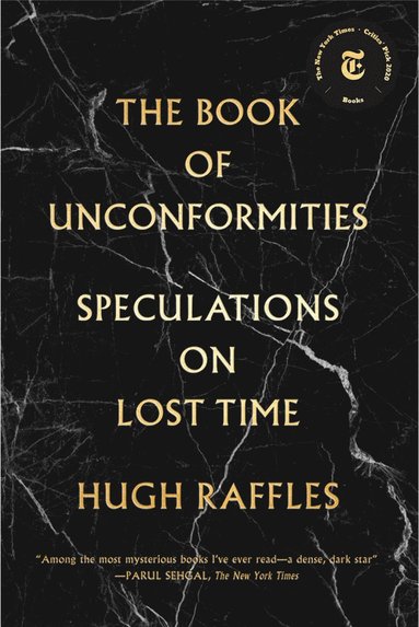 Hugh Raffles - Book of Unconformities, Häftad