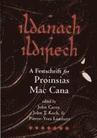 bokomslag Ildanach Ildirech. A Festschrift for Proinsias Mac Cana