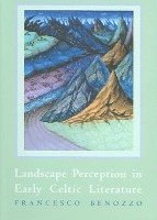 bokomslag Landscape Perception in Early Celtic Literature